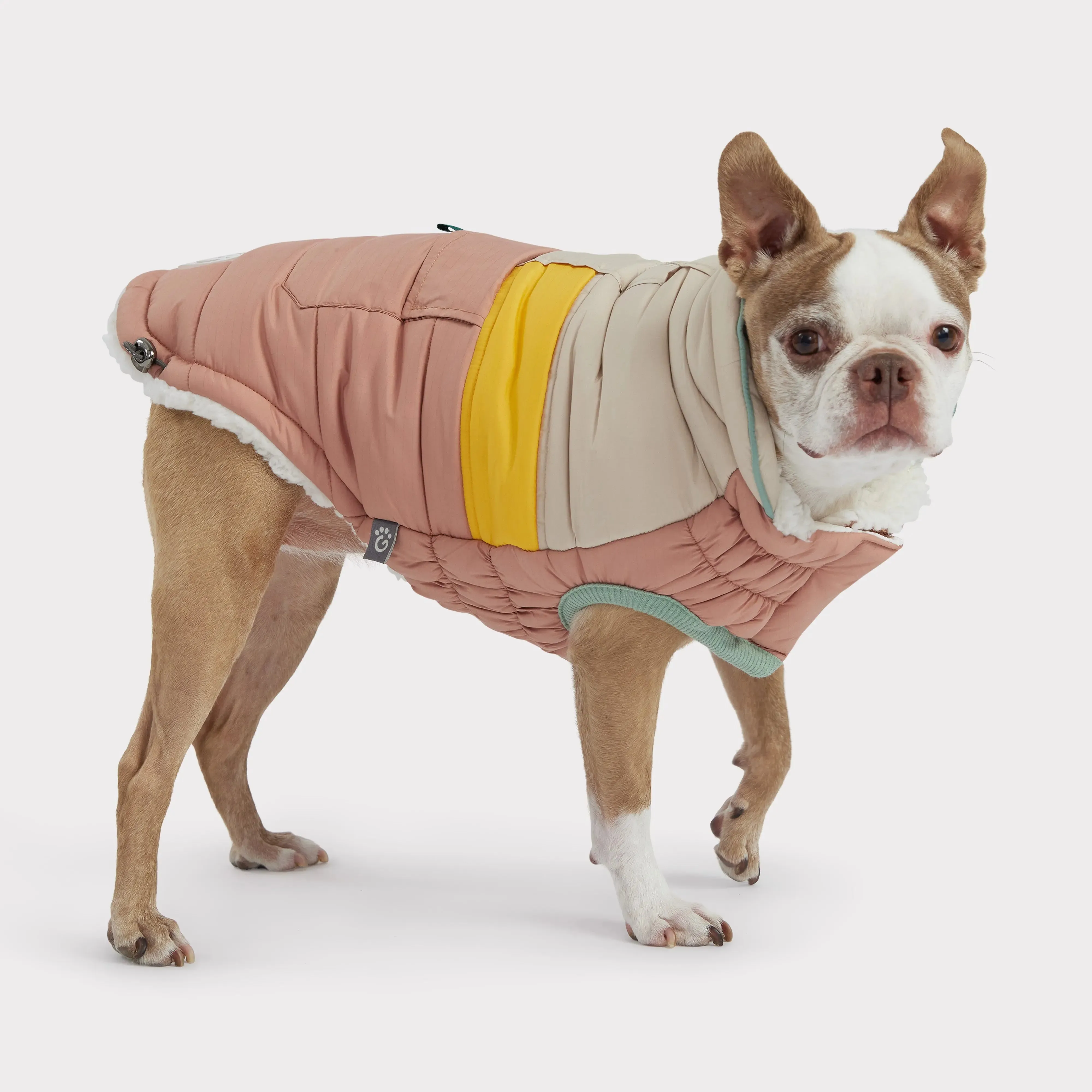 Camplife Dog Puffer | Clay