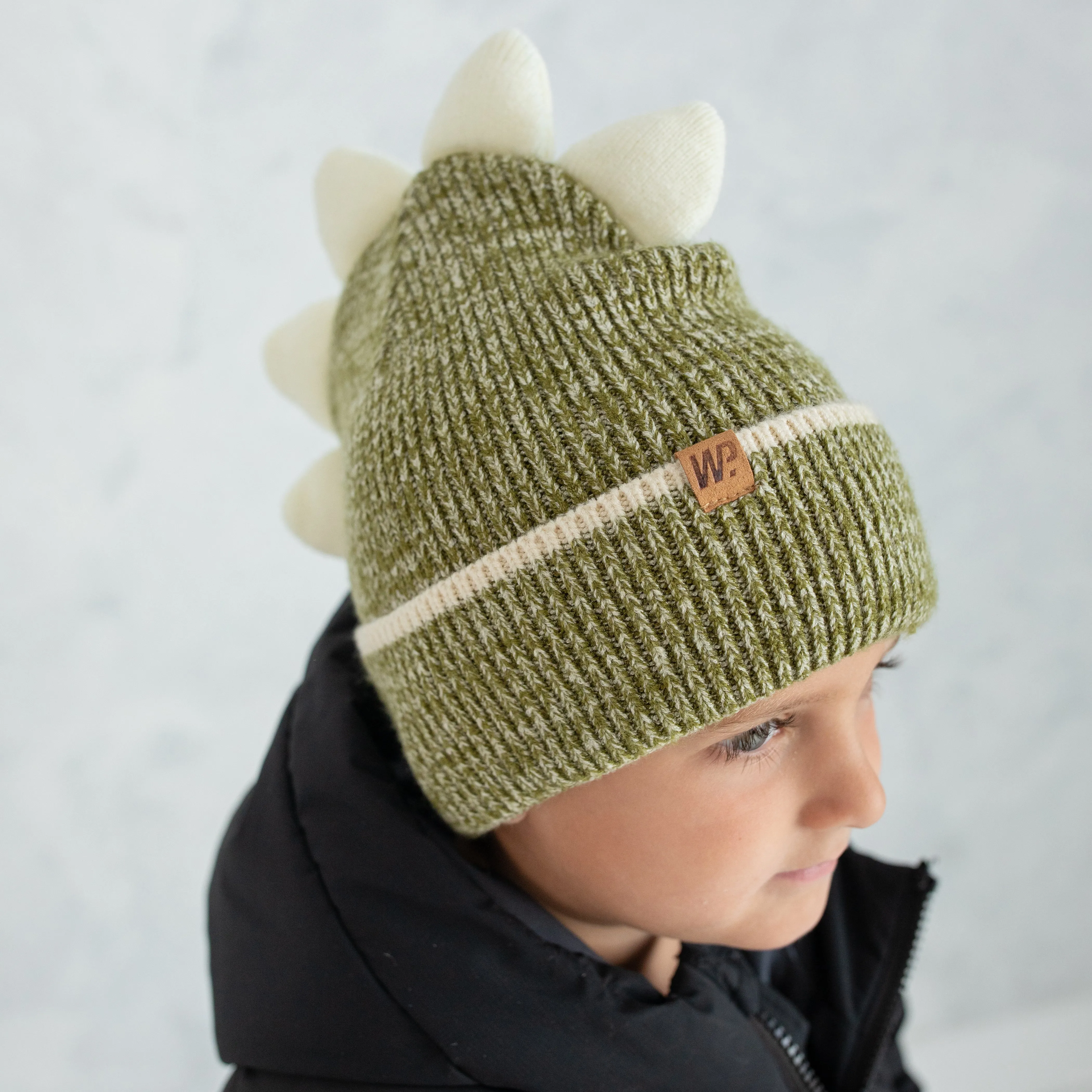 Little Boy's Dino Knit Toque