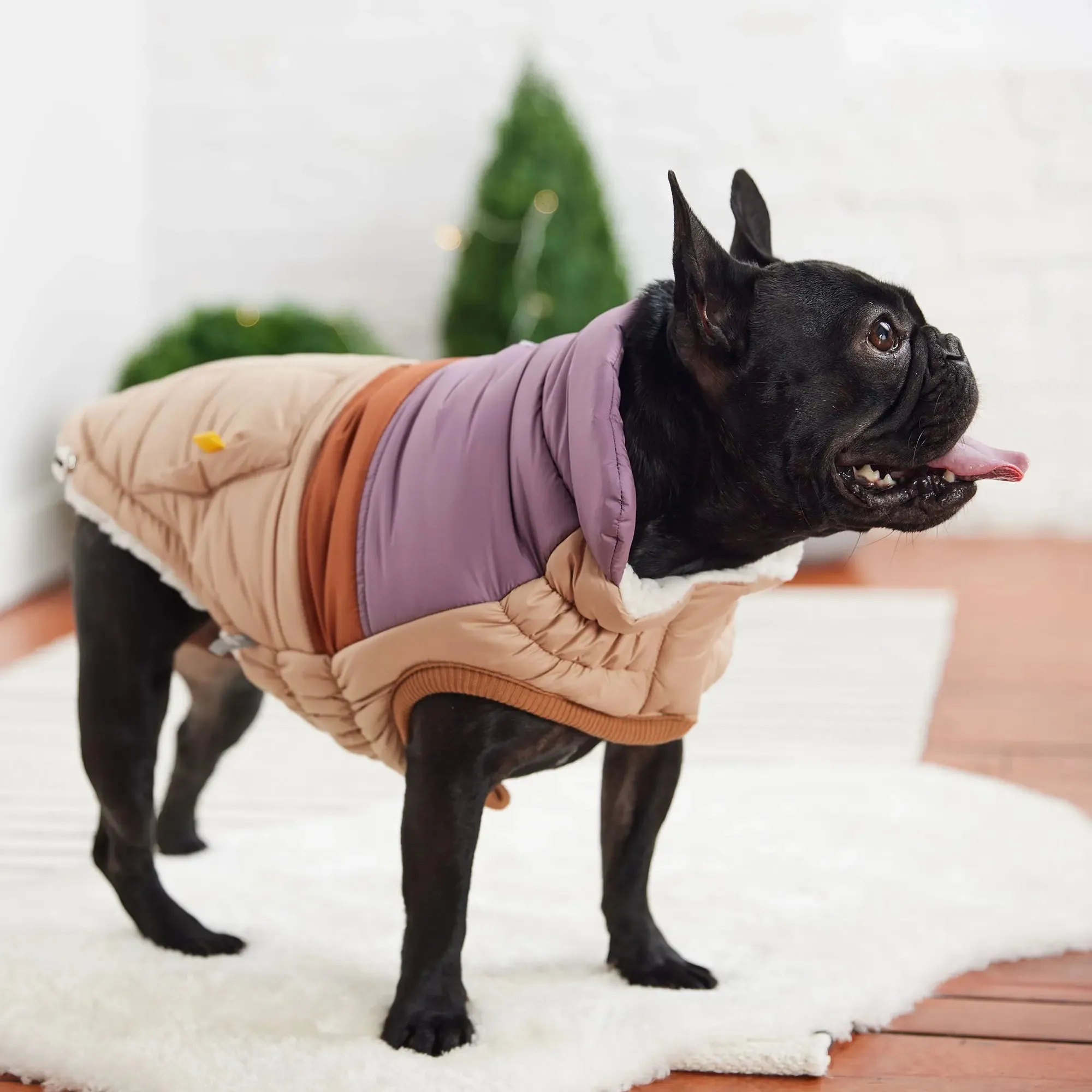 Retro Dog Puffer | Sand