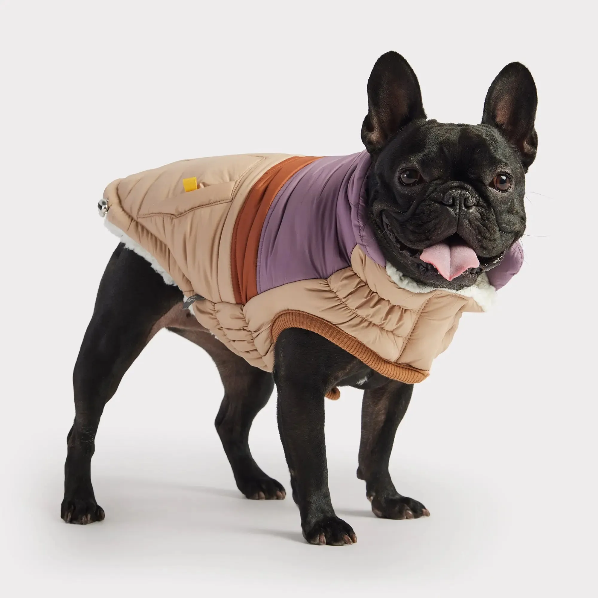 Retro Dog Puffer | Sand