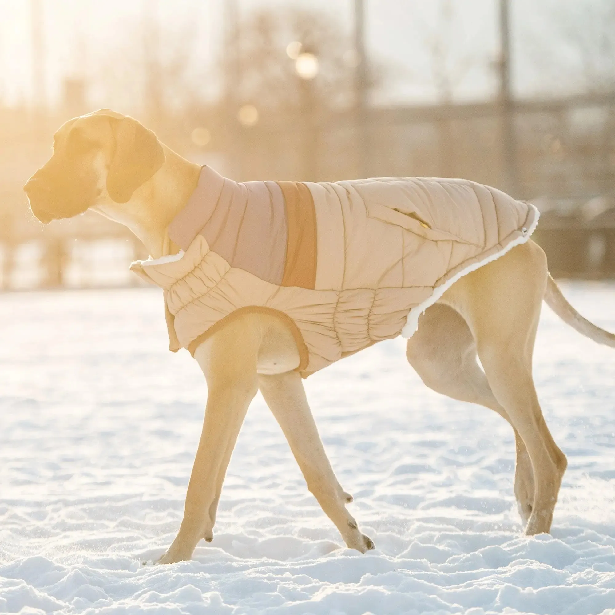 Retro Dog Puffer | Sand