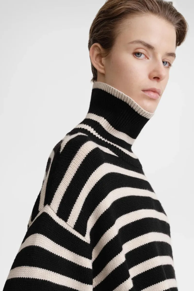 Signature Stripe Turtleneck